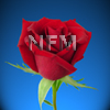 red roses charlotte