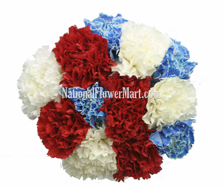 Carnation Flower Picture on Carnations Seasonal Or Tinted Carnations July 4th Red White Blue
